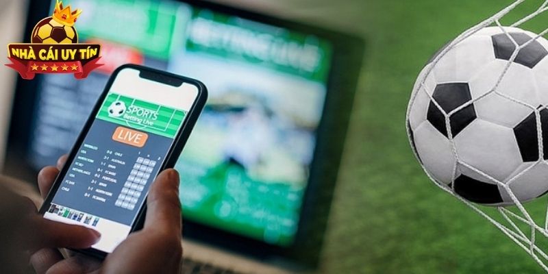 Một trong những điểm nổi trội là khả năng tổng hợp bộ môn cược